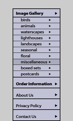 navigation